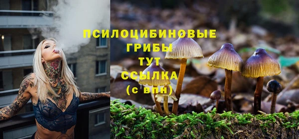 кокс Арсеньев