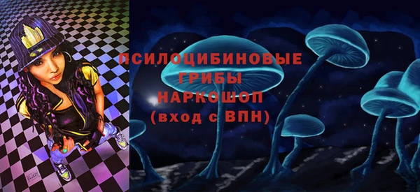 кокс Арсеньев
