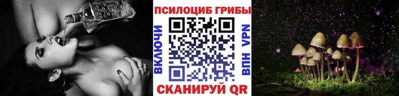 Галлюциногенные грибы MAGIC MUSHROOMS  Мытищи 