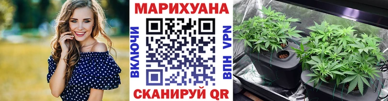 Марихуана Amnesia  Мытищи 